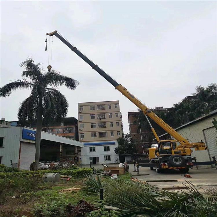 中沙汽车吊出租多少钱？全面解析与市场行情